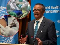 Delta Variant को लेकर चेतावनी जारी, कोरोना टीकाकरण में तेजी नहीं तो घातक हो सकता है डेल्टा वैरिएंट - | Who warns Warning against corona delta variant can be fatal if corona vaccination is not accelerated | Latest india Photos at Lokmatnews.in