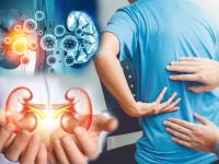 CoronaVirus Live Updates : बापरे! कोरोनानंतर कोणतीही लक्षणं न दिसता 70 टक्के काम करणं बंद करतेय किडनी; रिपोर्टमधून खुलासा - Marathi News | health news seventy percentage of kidney function lost without even realising lak | Latest health Photos at Lokmat.com