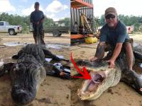 Photo : मगरीचं पोट फाडल्यानंतर सुन्न झाला शिकारी, सापडला ६००० वर्षांपूर्वीचा 'खजिना'! - Marathi News | Archaeology News Hunter Discovers Thousands Year Old Objects Inside The Stomach Of An Alligator | Latest jarahatke Photos at Lokmat.com