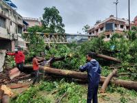 गुलाब चक्रीवादळाचा फटका, औरंगाबादेत अनेक भागांतील घरांत घुसले पाणी, झाडे उन्मळून पडली - Marathi News | Hurricane Gulab hits Aurangabad badly, water in homes many places, uproots trees | Latest chhatrapati-sambhajinagar Photos at Lokmat.com