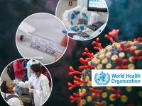 Omicron Variant : RT-PCR टेस्टच्या माध्यमातून ओमायक्रॉन व्हेरिएंट ओळखता येणार?, WHO ने दिली महत्त्वाची माहिती - Marathi News | international studies coronavirus outbreak can rtpcr test will detect omicron variants here is what who says | Latest national Photos at Lokmat.com