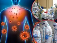 CoronaVirus News : भय इथले संपत नाही! 'दीर्घकाळ कोरोना संसर्ग हा गंभीर धोका; Heart Beat वर होऊ शकतो परिणाम' - Marathi News | Corona Virus health prolonged covid19 infection side effects heartbeat can also affects | Latest health Photos at Lokmat.com