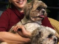 ही दोस्ती जगात भारी! जगातल्या सर्वात आनंदी देशातल्या माणसांचे 'खास' दोस्त! सेलिब्रिटींही त्यांचे दिवाने.. - Marathi News | Bollywood celebrities and their pet dogs... Some beautiful glimpses of their unconditional love | Latest sakhi Photos at Lokmat.com