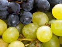 5 Natural Sunscreen: त्वचा टॅन होणं टाळणारे ५ पदार्थ, सेलिब्रिटी आहारतज्ज्ञ पुजा माखिजांच्या समर स्पेशल ब्यूटी टिप्स - Marathi News | Skin Care In Summer: 5 Fruits that protects you from the tanning and skin burn in summer, says celebrity nutritionist Pooja Makhija | Latest sakhi Photos at Lokmat.com