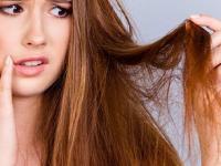 केसांसाठी खास टॉनिक आहेत ६ पदार्थ, रोज खा - झाडूसारखे रखरखीत केसही होतील मऊ- चमकदार - Marathi News | Hair Care Tips: 6 food items that works as a tonic for all hair related problems | Latest sakhi Photos at Lokmat.com