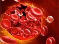 ७ आजारांना लांब ठेवते 'ही' स्वस्तात मस्त भाजी; पोटाचे त्रास तर कायम राहतील लांब - Marathi News | Pointed Gourd Benefits : lovneet batra advice to eat parwal or pointed gourd as it works as blood purifier & control sugar | Latest sakhi Photos at Lokmat.com