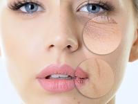 ५ नॅचरल ॲण्टीएजिंग पदार्थ! नियमित खा, त्वचा राहील चमकदार- सुंदर, विकतच्या क्रिमची गरजच नाही - Marathi News | 5 Natural anti aging food items for younger-looking skin. Keep your skin young even in late 40s and 50s. | Latest sakhi Photos at Lokmat.com