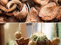 नारळ फोडलं की शेंड्या आणि करवंटी फेकून देता? ७ भन्नाट वापर, केस काळे करण्यापासून झाडांसाठी खत करण्यापर्यंत.. - Marathi News | 7 Genius Uses For Coconut Shells | Latest sakhi Photos at Lokmat.com