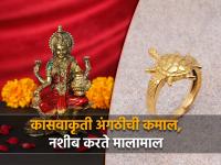 Astro Tips: कासवाकृती अंगठीची कमाल, नशीब करते मालामाल; पण ती वापरण्याआधी जाणून घ्या नियम! - Marathi News | Astro Tips: Tortoise shaped ring brings wealth; But before using it, know the rules! | Latest bhakti Photos at Lokmat.com