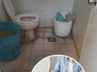 बाथरूमच्या टाईल्स खराब झाल्या? ३ टिप्स, ५ मिनिटांत बाथरूममधले डाग, चिकटपणा होईल दूर - Marathi News | How to clean bathroom : How to Deep Clean Your Bathroom in Easy Steps | Latest sakhi Photos at Lokmat.com