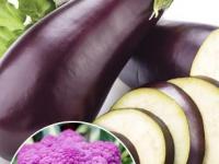 सध्या ज्याची वेड्यासारखी क्रेझ आहे ते पर्पल डाएट नक्की काय आहे? जो तो काय ‘जांभळ्या’ गोष्टी खातोय? - Marathi News | Purple foods: List of foods, health benefits, and more | Latest sakhi Photos at Lokmat.com