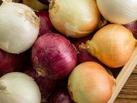 कांद्याचे हे ६ प्रकार माहिती आहेत का? पाहा कोणत्या पदार्थासाठी कोणता कांदा वापरायचा? - Marathi News | 6 types of onion, How to choose right onion for the perfect recipe | Latest sakhi Photos at Lokmat.com