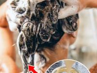 केस खूप गळतात- पांढरे झाले? केमिकल्सचे शाम्पू वापरणं सोडा आणि 'हा' नॅचरल शाम्पू लावून पाहा - Marathi News | Home remedies for reducing hair fall or hairloss, How to get rid of gray hair, Homemade shampoo using ritha, how to make shampoo at home | Latest sakhi Photos at Lokmat.com