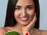 उन्हामुळे सनबर्नचा त्रास? करा 'हा' जादुई उपाय, त्वचेला मिळेल थंडावा- टॅनिंग जाऊन उजळेल त्वचा - Marathi News | home remedies for sunburn and tanning due to hot summer, how to use aloevera for sunburn, how to treat sunburn skin | Latest sakhi Photos at Lokmat.com