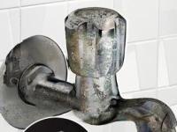 स्टीलच्या नळांना - शॉवरला पांढरट डाग पडले? १ उपाय करा, नळ चमकतील नव्यासारखे चकाचक - Marathi News | How to get rid of borewell water stains? how to remove hard water stains from tab, 3 simple solutions for removing hard water stains | Latest sakhi Photos at Lokmat.com