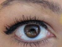 आयब्रोजचे केस खूप पातळ झालेत? फक्त २ थेंब तेल या पद्धतीने लावा; घनदाट-लांब होतील केस - Marathi News | How To Grow eyebrow Hairs Faster : How to Grow Eyebrow Hair Faster Naturally At Home | Latest sakhi Photos at Lokmat.com