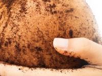 आता फक्त ५ सोप्या स्टेप्समध्ये घरच्याघरी करा बॉडी पॉलिशिंग, पार्लरमध्ये जाऊन मिळणार नाही इतका ग्लो ! - Marathi News | Step By Step Body Polishing At Home for Bright & Glowing Skin How to do body polishing at home | Latest sakhi Photos at Lokmat.com