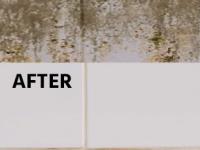 बाथरूमच्या टाईल्सवर काळा, मेणचण थर आलाय? ५ उपाय, वर्षानुवर्ष पांढऱ्याशुभ्र दिसतील टाईल्स - Marathi News | How To Clean Bathroom Tiles Quickly : The Right Way To Clean Your Bathroom Tiles | Latest sakhi Photos at Lokmat.com