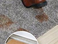 पावसाळ्यात फ्लोअर मॅटचा कुबट वास त्रासदायक, न धुता फ्लोअर मॅट स्वच्छ करण्याचे ६ उपाय... - Marathi News | How to Clean Door Mats Without a Washing How To get rid of the smell from floor mats without washing them How to get the smell out of floor mats without washing | Latest sakhi Photos at Lokmat.com