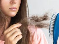 केस शेपटीसारखे पातळ झाले? खाण्यापिण्यामध्ये करा ‘हे’ छोटेसे बदल- केस गळणं कायमचं बंद होईल - Marathi News | natural remedies for reducing hair fall, how diet can help to control hair loss, best remedies for long and strong hair, diet tips for fast hair growth | Latest sakhi Photos at Lokmat.com