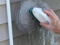 खिडकीला बसवलेली जाळी घाण साचून काळपट झाली? १ मस्त ट्रिक- काही मिनिटांतच जाळी चकाचक... - Marathi News | how to clean mosquito net or mosquito grills of window, simple and easy trick to clean mosquito net | Latest sakhi Photos at Lokmat.com