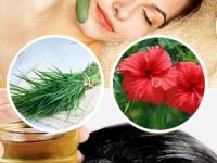 गणपतीचं निर्माल्य फेकू नका, वेगवेगळ्या कामांसाठी त्याचा खास वापर करा- बघा सोपे उपाय - Marathi News | how to reuse nirmalya, how to reuse flowers and durva dedicated to lord ganesha, best reuse of ganapati nirmalya | Latest sakhi Photos at Lokmat.com