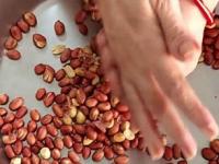 एका मिनिटांत किलोभर शेंगदाण्यांची टरफलं निघतील- बघा उपाय, काम होईल एकदम सोपं - Marathi News | how to peel off roasted peanut skin quickly, best home hacks to peel off roasted peanut | Latest sakhi Photos at Lokmat.com