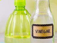 फक्त ६० रुपयांचं व्हिनेगर चमकवेल तुमचं घर! बघा दिवाळीत स्वच्छतेसाठी व्हिनेगरचे ८ अफलातून उपयोग... - Marathi News | 8 amazing benefits of using vinegar for cleaning home, diwali home cleaning tips using vinegar | Latest sakhi Photos at Lokmat.com