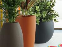 Diwali Decoration: कुंड्या- रोपं वापरून घर सजविण्याच्या खास टिप्स,दिवाळीत आपलं घर दिसेल हसरं-सुंदर - Marathi News | Diwali Decoration ideas, diwali decoration using indoor plants, how to decorate home using indoor plants | Latest sakhi Photos at Lokmat.com