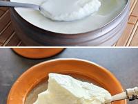 नेहमीच विकतचं दही खाता? आरोग्यासाठी ते कितपत चांगलं? दही विकत आणताना ३ गोष्टी तपासा - Marathi News | which curd is more healthy, Homemade or Store-Bought Dahi? | Latest sakhi Photos at Lokmat.com