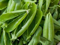 Food Tips: वाटाण्याच्या टरफलांचा उपयोग करून तुम्ही पैशांची बचत करू शकता; कशी ते पाहा! - Marathi News | Food Tips: You can save money by using pea shells; see how! | Latest sakhi Photos at Lokmat.com