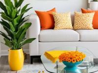 घरातला पसारा झ्टपट कमी करायचाय? ७ टिप्स, घर कायम दिसेल आवरलेलं - पसारा गायब - Marathi News | 7 tips for home organization .. house will look clean and beautiful | Latest sakhi Photos at Lokmat.com