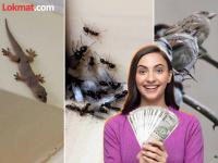 Vastu Shastra: वास्तुशास्त्रानुसार, मुंग्या, पाली, तसेच चिमण्यांचे घरात येणे हे तर भाग्योदयाचे लक्षण! - Marathi News | Vastu Shastra: According to Vastu Shastra, the arrival of ants, wasps, and sparrows in the house is a sign of good fortune! | Latest bhakti Photos at Lokmat.com