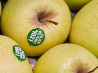 फळांवर जे स्टिकर्स चिटकवलेलेे असतात, त्यांचा अर्थ काय? तुम्ही नक्की काय पाहून फळं घेणं योग्य, वाचा... - Marathi News | What does the number on a fruit sticker mean Stickers On Fruits Facts About Fruit Stickers You Did Not Know | Latest sakhi Photos at Lokmat.com