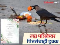 Ritual: लग्नकार्यात पाच मानाच्या आमंत्रणांमध्ये पितरांनाही दिला जातो मान; का आणि कसा? वाचा! - Marathi News | Ritual: In the five-important invitations to a wedding, ancestors are also honored; why and how? Read! | Latest bhakti Photos at Lokmat.com