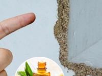 वाळवी फर्निचर पोखरते आहे? ७ सोपे उपाय - वाळवी होईल नष्ट, लाकडी वस्तू मस्त... - Marathi News | 7 Simple Remedies To Protect Home Wooden Furniture From The Termites 7 Effective Home Remedies to Get Rid of Termites | Latest sakhi Photos at Lokmat.com