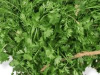 कोथिंबीर खाता पण फायदे माहिती आहेत का? आहारामध्ये कोथिंबीर हवीच कारण... - Marathi News | Do you know the benefits of eating coriander? | Latest sakhi Photos at Lokmat.com