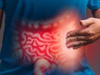 आहारात हे '६' पदार्थ असतील तर पोटाचे त्रास विसराच.. पाहा कोणते पदार्थ आहेत - Marathi News | If you have these '6' foods in your diet, forget about stomach problems | Latest sakhi Photos at Lokmat.com