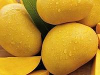 पेटीतले आंबे भराभर पिकायला लागले? चटकन ५ पदार्थ करा - टिकतील बरेच दिवस - खा हळूहळू - Marathi News | Mangoes in the box are starting to ripen? Make 5 quick dishes | Latest sakhi Photos at Lokmat.com