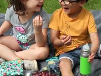 सहलीला जाताना मुलांसाठी सोबत ठेवा ‘हे’ पदार्थ, प्रवासात पोट बिघडत नाही-भूक भूक होत नाही - Marathi News | kids Toddler Foods To Carry While Travelling, Healthy Foods to Pack When You Travel | Latest sakhi Photos at Lokmat.com