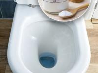 टॉयलेट सीट वारंवार घासण्याची गरजच नाही! घ्या सोपी युक्ती- टॉयलेटमधली दुर्गंधीही गायब होईल - Marathi News | simple home remedy to keep toilet seat always clean and hygienic, how to keep toilet seat clean without using brush | Latest sakhi Photos at Lokmat.com