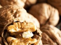 रोज खा दोन अक्रोड, मेंदू असा काही होईल तल्लख की तुम्ही सुसाट! पाहा ‘हे’ बदल - Marathi News | Eat two walnuts every day, your brain will become so sharp | Latest sakhi Photos at Lokmat.com