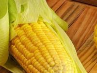 पावसाळ्यात भाजलेल्या कणसासोबत हे पदार्थही खा, पाहा मक्याचे स्वादिष्ट पदार्थ - Marathi News | Eat these dishes during monsoon, see delicious corn dishes | Latest sakhi Photos at Lokmat.com