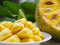 फणस कापा की बरका? ओळखण्यासाठी फक्त ६ टिप्स, अंदाज चुकणार नाही! गरे खा पोटभर... - Marathi News | How to identify 'kapa' jackfruit and 'barka' jackfruit This is the difference between barka and Kapa jackfruit kapa' jackfruit and 'barka' jackfruit Just 6 tips to identify it | Latest sakhi Photos at Lokmat.com