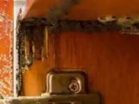 पावसामुळे लाकडी दरवाजे फुगले, कपाटांना वाळवी लागली? ५ सोपे उपाय, वाळवी होईल गायब - Marathi News | Rain damage to wooden doors How to fix swollen wooden doors Monsoon home care tips Wood care tips for rainy season | Latest sakhi Photos at Lokmat.com