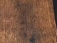 न धुता पाय पुसणी स्वच्छ करण्याची खास ट्रिक; मळकट, काळी पायपुसणी दिसेल स्वच्छ - Marathi News | How To Clean Doormat Without Washing : How To Clean Doormat Easy Ways | Latest sakhi Photos at Lokmat.com