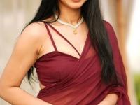 तान्या मित्तलचे सिंपल- ट्रेंडीग ब्लाऊज डिजाईन्स; पुढच्या गळ्याचे १० पॅटर्न- दिसाल सुंदर - Marathi News | Tanya Mittal simple, trendy blouse designs 10 front neck patterns Get A Unique Look | Latest sakhi Photos at Lokmat.com