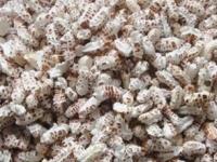 Laxmi Pujan : लक्ष्मी पूजनाला लाह्या आणि बत्ताश्यांचा नैवेद्य का दाखवतात? ५ कारणं- प्रसाद न चुकता खा - Marathi News | Laxmi Pujan : Laxmi Pujanala Salichya Laya Battashe ka Khatat Why People Eat a Salichya Laya Battashe On Laxmi Pujan | Latest sakhi Photos at Lokmat.com