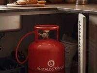 स्वयंपाकघरात गॅस सिलेंडर ठेवण्यासाठी ८ टिप्स-लहानसं किचनही दिसेल मोठं सुंदर-अडणार नाही जागा - Marathi News | How To Hide Gas Cylinder In Kitchen : 8 Effective Ways To Hide Your Gas Cylinder And Do It | Latest sakhi Photos at Lokmat.com