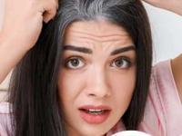 काळ्या केसांसाठी कशाला महागड्या मेलॅनिनच्या गोळ्या खाता? ‘हे’ पदार्थ खा, म्हातारपणीही केस काळेभोर - Marathi News | Top 4 melanin rich foods for healthy hair, how to avoid gray hair at early age, food for black and shiny healthy hair | Latest sakhi Photos at Lokmat.com